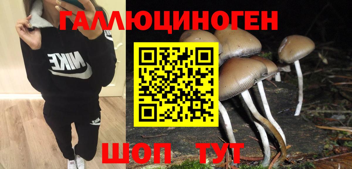 Галлюциногенные грибы прущие грибы  Вход с VPN  Ялта 